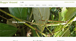 Desktop Screenshot of felixfleckonline.com
